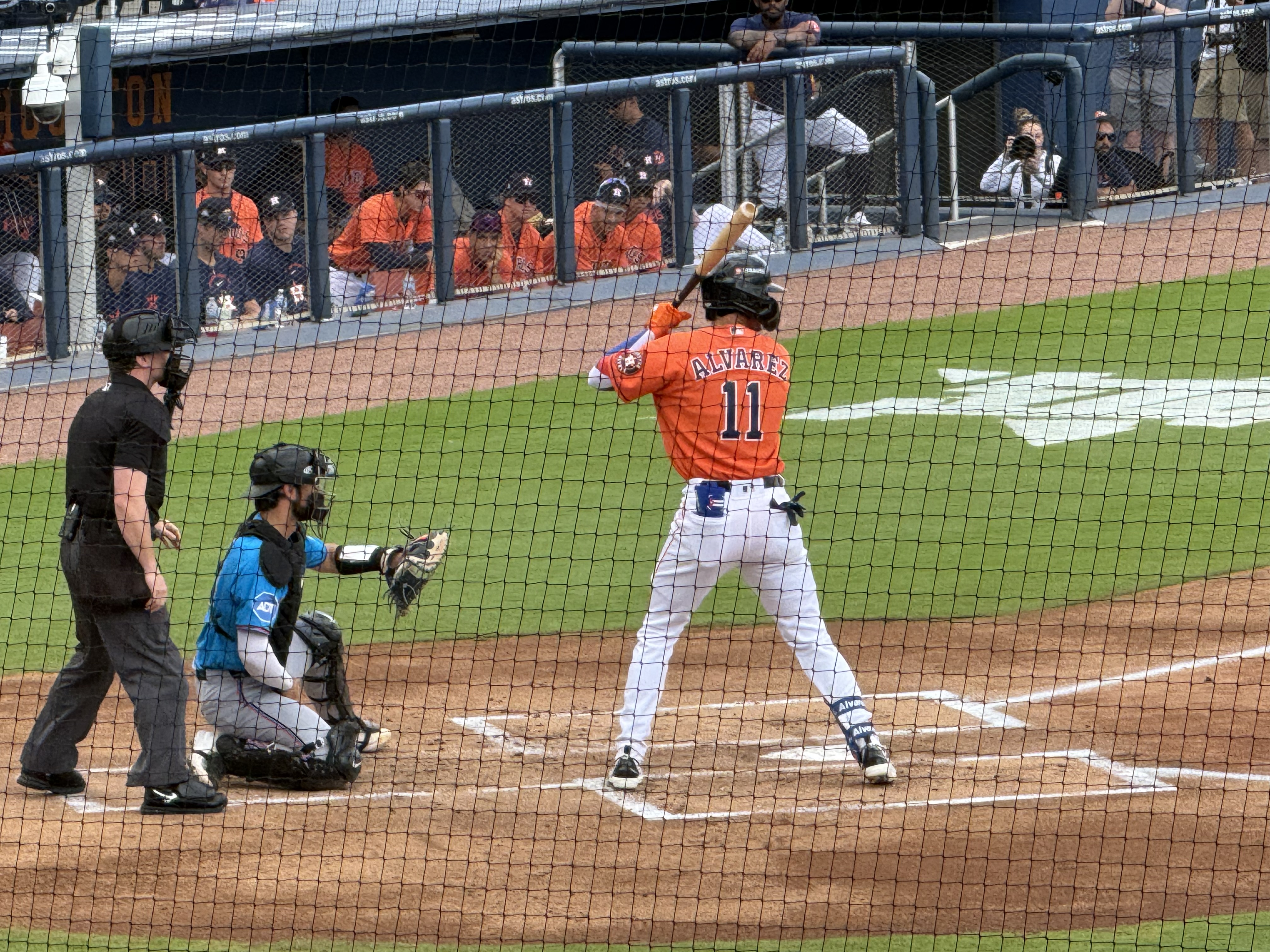 The Minor League Season